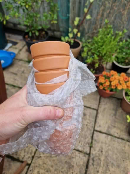 Photo of free Mini terracotta pots (Bear Flat) #2