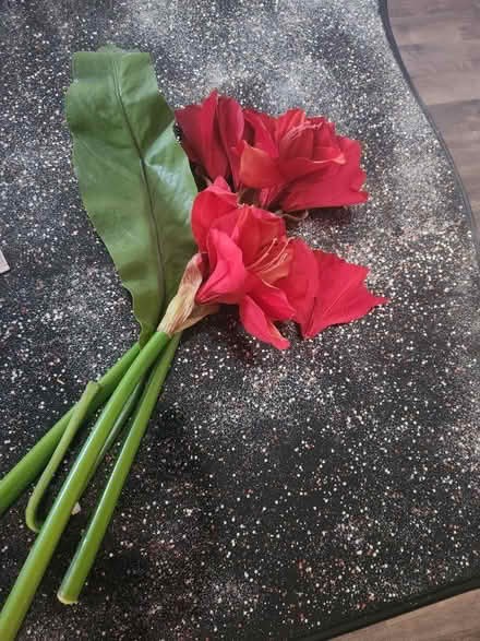 Photo of free Fake flower (Bloomfield) #1