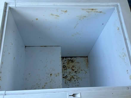Photo of free Chest freezer (Manet dr) #4