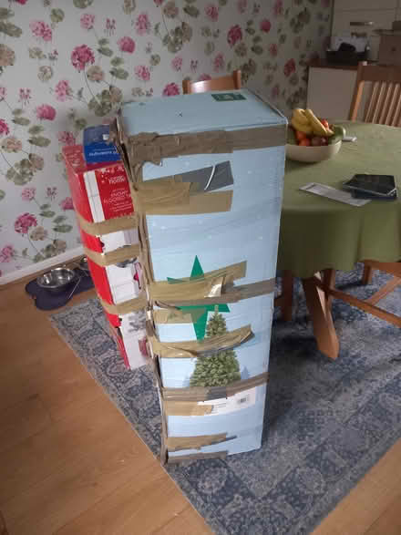Photo of free Christmas tree (withington HR1) #1