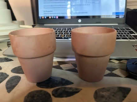 Photo of free Terra cotta Craft pots (22209) #1