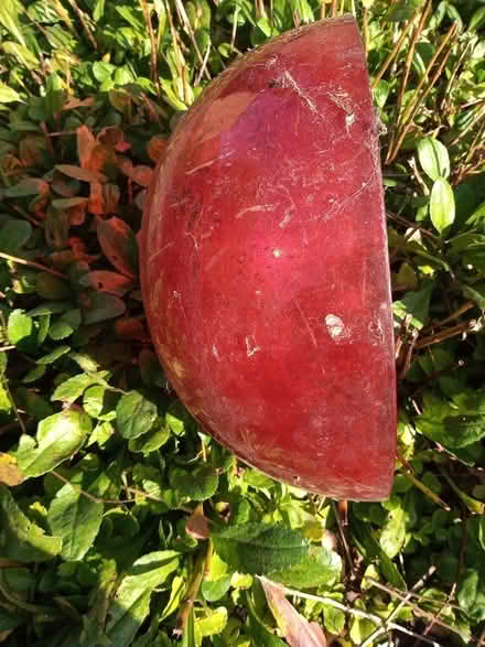 Photo of free Glass bowl (Manchester M14) #1