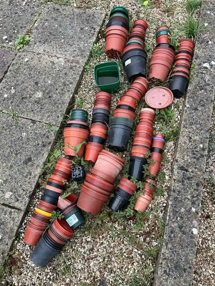 Photo of free Plastic plant pots (HA3) #1