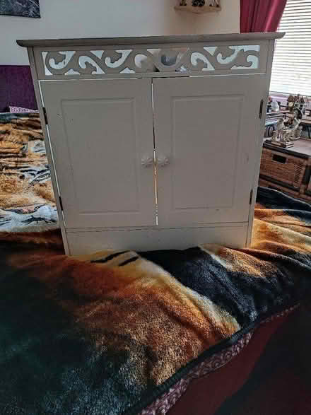 Photo of free Bathroom under sink cabinet (North hull estate HU6) #1