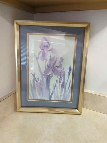 Photo of free Purple iris wall art (SW Canton Beck and Geddes) #1