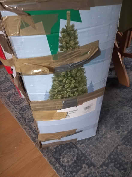 Photo of free Christmas tree (withington HR1) #3