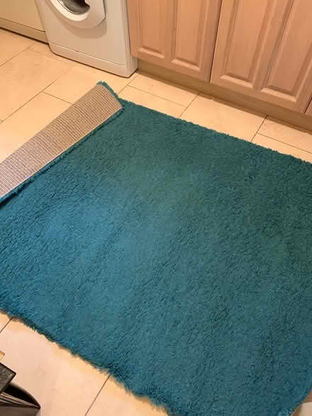 Photo of free Turquoise Rug (Halifax) #1