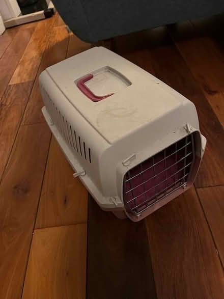 Photo of free Cat/Dog Box (Stoneybatter) #1