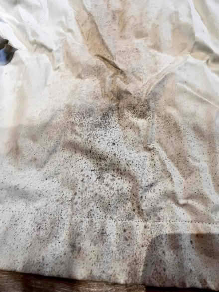 Photo of free 2x Curtains - pale gold chenille, double pleated header (Malvern Link WR14) #4