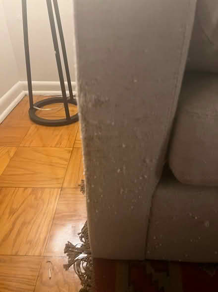 Photo of free 83 inch square arm sofa (Takoma Park, MD) #3