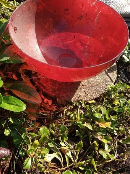 Photo of free Glass bowl (Manchester M14) #2