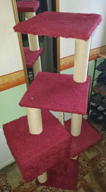 Photo of free Cat climbing frame (Gorse Hill SN2) #1