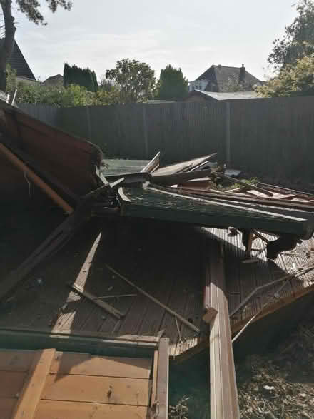 Photo of free Dry wood (Battle TN33) #2