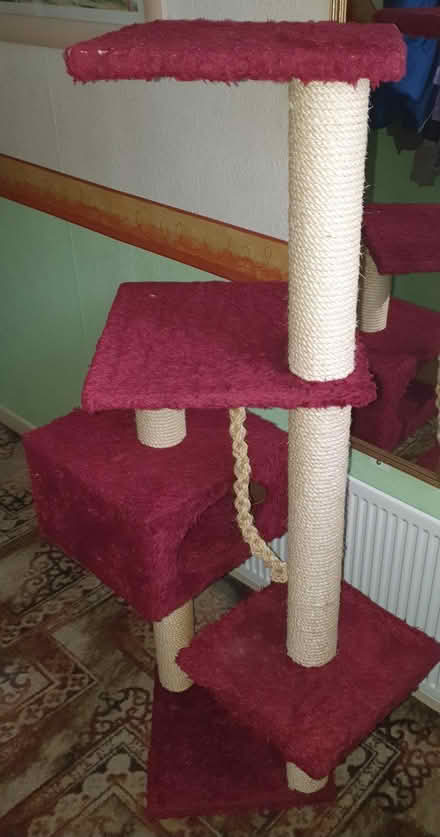 Photo of free Cat climbing frame (Gorse Hill SN2) #2