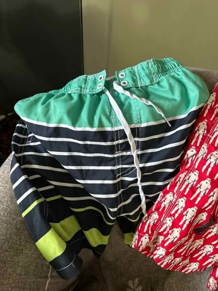 Photo of free 2 boys swim trunks, size 10 (Walnut Creek) #1