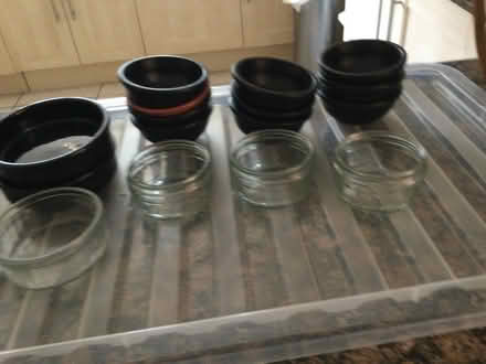 Photo of free Little Dishes (Parkstone BH14) #1