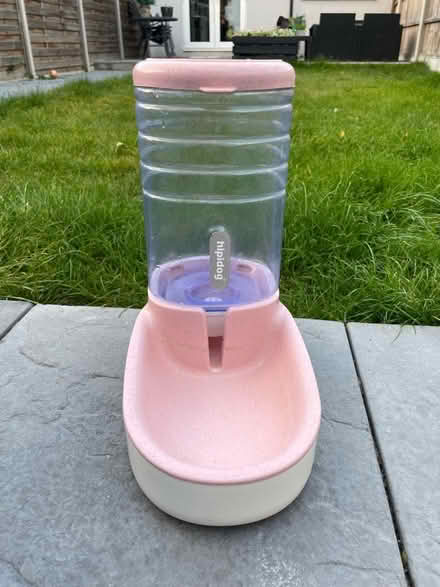 Photo of free Cat Feeder/Waterdispenser/toy/clean (Cheshunt EN8) #2