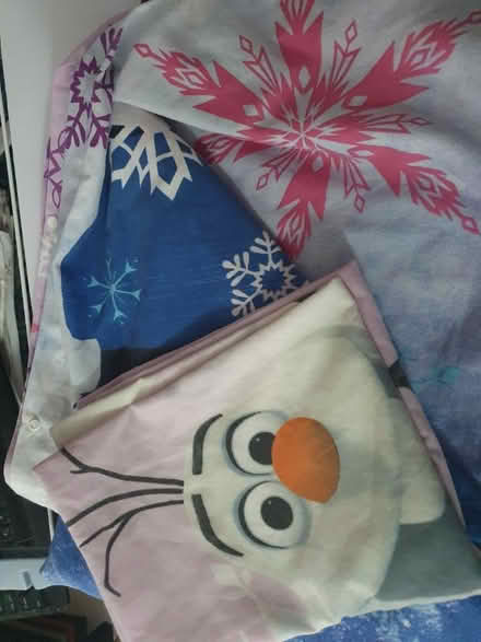 Photo of free Frozen duvet cover (Beckton E6) #1