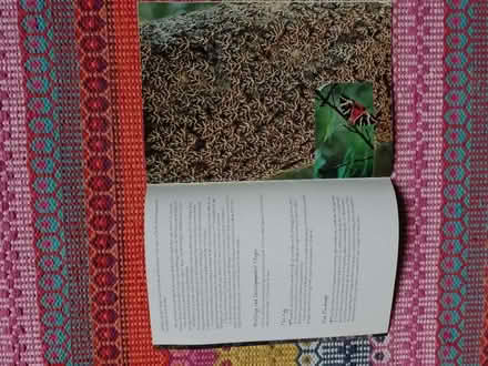 Photo of free Butterfly booklet (Bowbridge GL5) #2