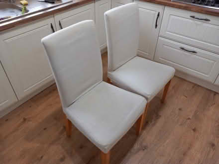 Photo of free Dining Chairs (Waldridge Park DH2) #1