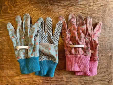 Photo of free Kids mini gardening tools (Starbeck HG2) #2