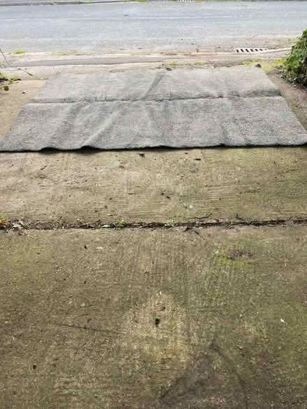 Photo of free IKEA Rug (Oldfield Park) #2