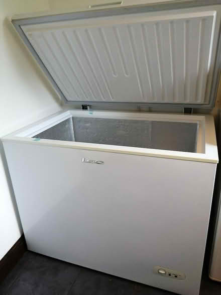 Photo of free Freezer (Rockland St Peter NR17) #3