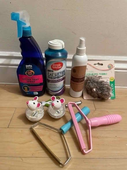 Photo of free Cat Feeder/Waterdispenser/toy/clean (Cheshunt EN8) #3