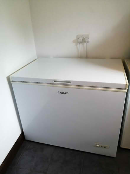 Photo of free Freezer (Rockland St Peter NR17) #2