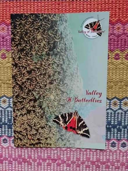 Photo of free Butterfly booklet (Bowbridge GL5) #1
