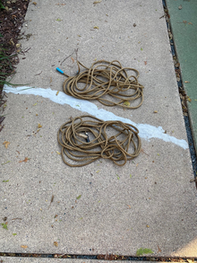 Photo of free Two - 25 Foot Manilla Rope (Highland Park Area) #1