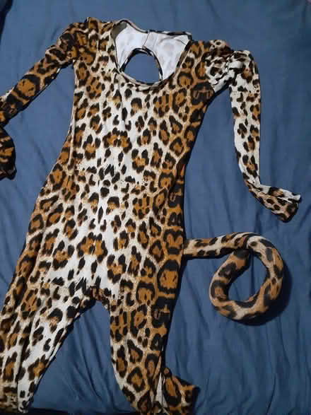 Photo of free Halloween costumes women's small (Queens) #4