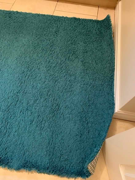 Photo of free Turquoise Rug (Halifax) #2