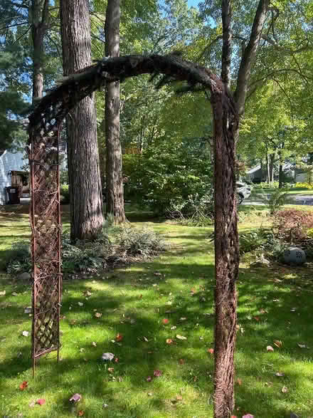 Photo of free Outdoor arbor (Clifton Park) #3