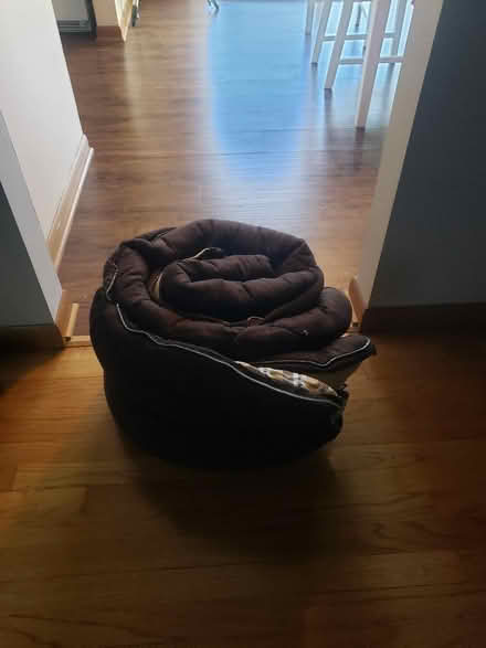 Photo of free Sleeping Bag (Geneva) #1
