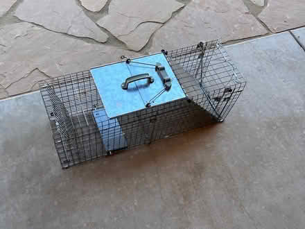Photo of free Live trap (Paseo and Tramway) #1