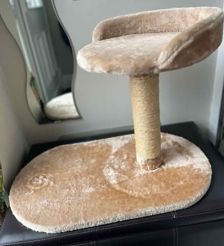 Photo of free Cat Scratcher with seat (Bracknell RG12) #1