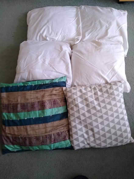Photo of free Cushion pads (North Hinksey OX2) #1