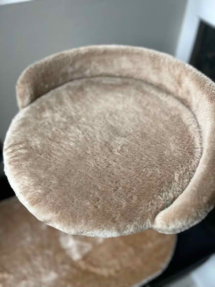 Photo of free Cat Scratcher with seat (Bracknell RG12) #2