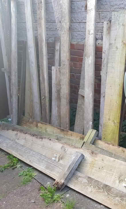Photo of free Used wood (South Heighton BN9) #1
