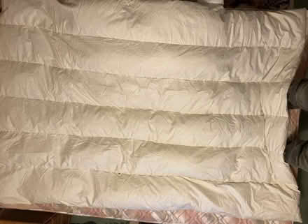 Photo of free Single duvet x2 (Old Town SG1) #4