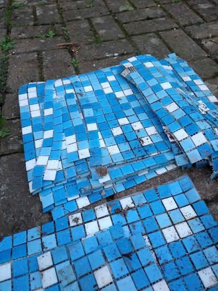 Photo of free Bathroom tiles about 40 sheets (South Abingdon OX14 5) #1