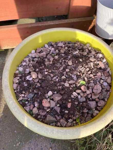 Photo of free Garden stones. (New Brighton CH45) #3