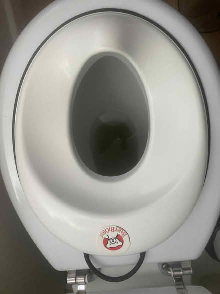 Photo of free Child’s toilet seat and step up (Sheet village) #2
