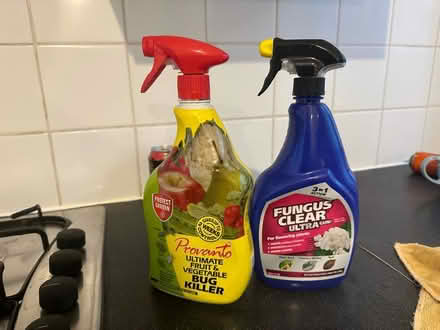 Photo of free Plant fungus spray (BN3) #1