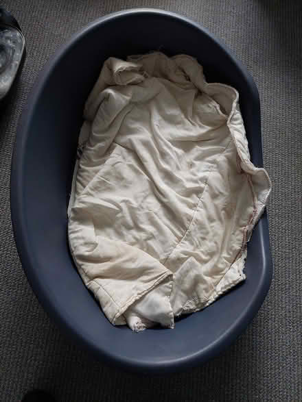 Photo of free Large dog bed (Broadsone BH18) #1