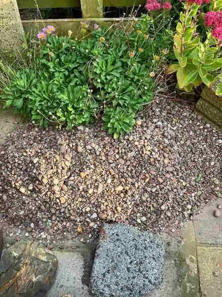 Photo of free Garden stones. (New Brighton CH45) #1
