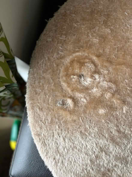 Photo of free Cat Scratcher with seat (Bracknell RG12) #4