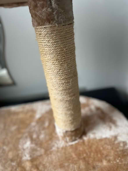 Photo of free Cat Scratcher with seat (Bracknell RG12) #3