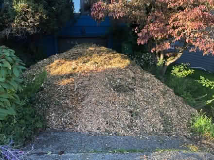 Photo of free Arborist Mulch for the garden (Magnolia Seattle 98199) #1